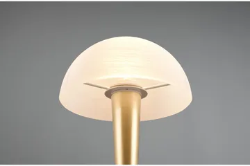 Canaria Bordslampa E14 (inkl.) mattmässing - Matt mässing - Products - Belysning - Lampor & belysning inomhus - Sovrumslampa - Sänglampa - Sängbordslampa