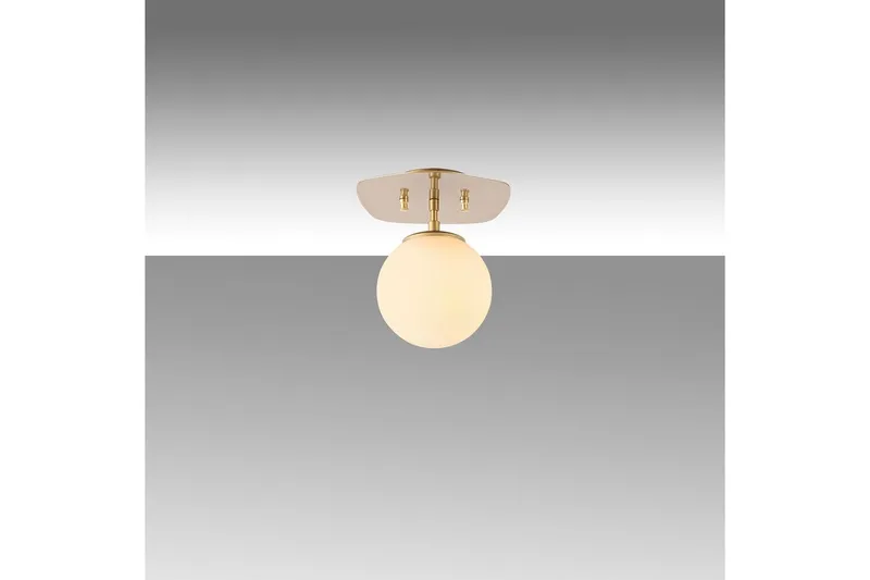 Taklampa Ariofield (20 x 25 x 25 cm) Rany - Rany - Products - Belysning - Lampor & belysning inomhus - Taklampa & takbelysning - Takplafond