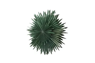 Sälen Adventsstjärna / Jullampa 60 cm - Grön - Products - Belysning - Julbelysning - Adventsstjärna