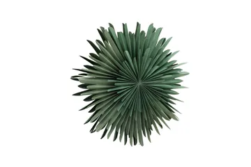 Sälen Adventsstjärna / Jullampa 80 cm - Grön - Products - Belysning - Julbelysning - Adventsstjärna