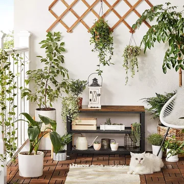 Lasse skohylla 73 cm - Brun/svart - Brun/svart - Products - Förvaring - Skoförvaring - Skohylla & skoställ