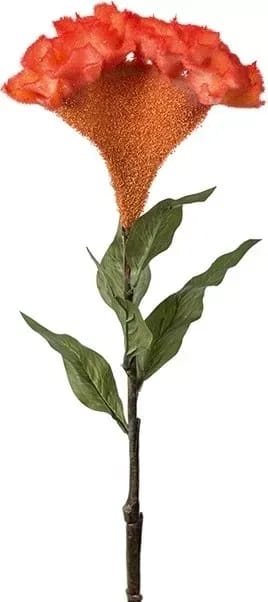 Celosia konstväxt - orange - Products - Inredning - Dekoration & inredningsdetaljer - Prydnadssaker - Blomsterdekoration