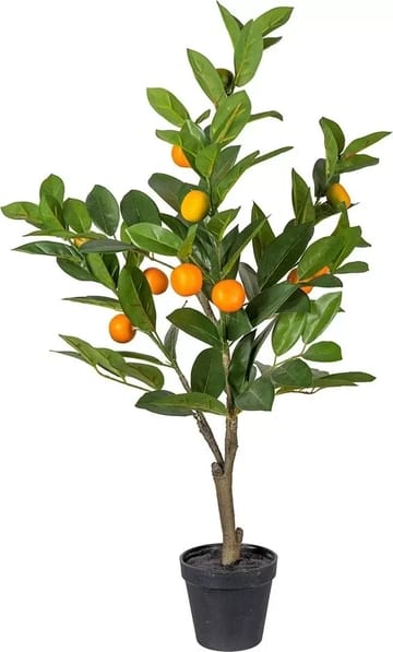 Citrus konstväxt - grön/orange - Products - Inredning - Dekoration & inredningsdetaljer - Prydnadssaker - Blomsterdekoration