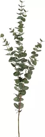 Eucalyptus konstväxt - grön - Products - Inredning - Dekoration & inredningsdetaljer - Prydnadssaker - Blomsterdekoration