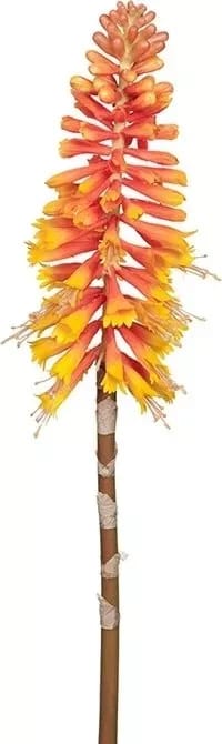 Kniphofia konstväxt - orange/gul - Products - Inredning - Dekoration & inredningsdetaljer - Prydnadssaker - Blomsterdekoration