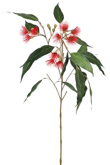 Konstväxt Eucalyptus - grön - Products - Inredning - Dekoration & inredningsdetaljer - Prydnadssaker - Blomsterdekoration