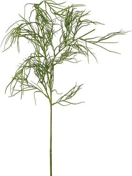 Konstväxt Grevillea