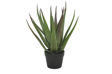 Piscode Konstgjord Växt Aloevera 50 cm - Grön - Products - Inredning - Dekoration & inredningsdetaljer - Prydnadssaker - Blomsterdekoration