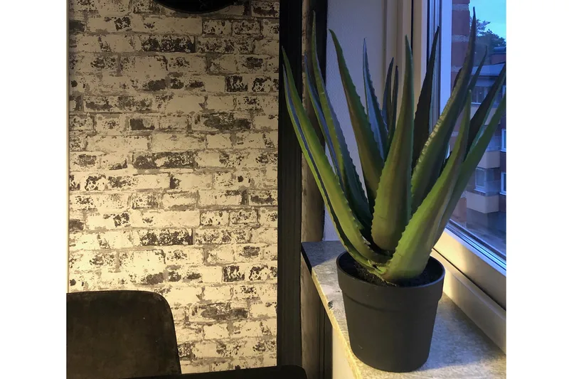 Piscode Konstgjord Växt Aloevera 50 cm - Grön - Products - Inredning - Dekoration & inredningsdetaljer - Prydnadssaker - Blomsterdekoration