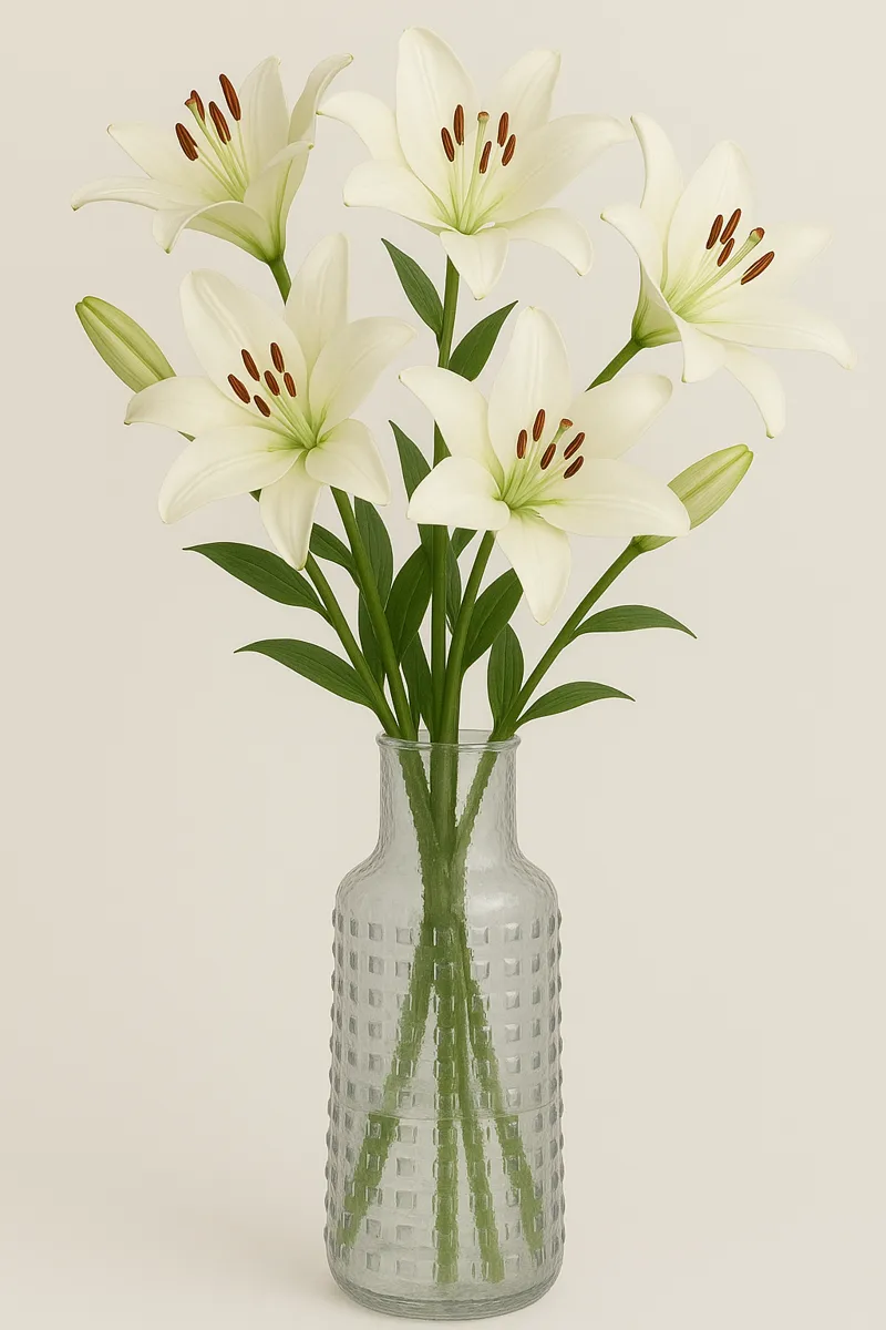 Blomvas Circle i Klart Glas, 30 cm