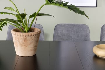 Astrid Matgrupp 200 cm Rektangulär med 6 Rosie stolar - Svart - Products - Möbler - Bord & matgrupp - Matgrupp