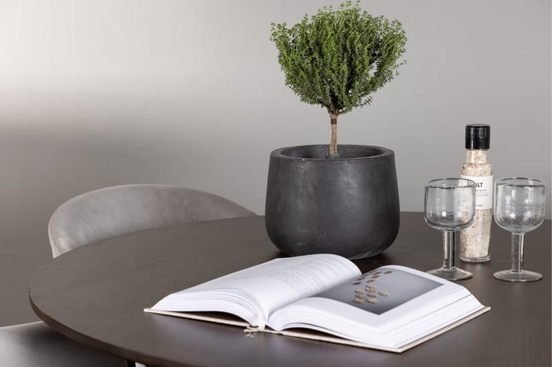 Kaseidon Matgrupp 100 cm Rund med 4 Evelina stolar - Svart - Products - Möbler - Bord & matgrupp - Matgrupp