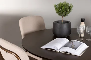 Kaseidon Matgrupp 100 cm Rund med 4 Seda stolar - Beige - Products - Möbler - Bord & matgrupp - Matgrupp