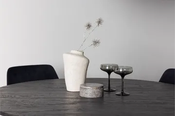 Lanzo Matgrupp 120 cm Rund med 4 Night stolar - Svart - Products - Möbler - Bord & matgrupp - Matgrupp