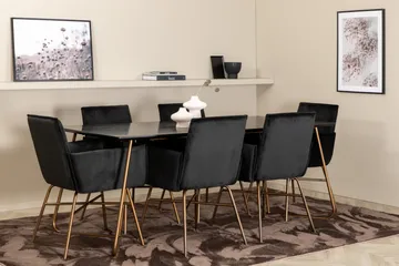 Petra Matgrupp 190 cm Rektangulär med 6 Petra stolar - Svart - Products - Möbler - Bord & matgrupp - Matgrupp