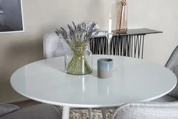 Plaza Matgrupp 100 cm Rund med 4 Velvet Deluxe stolar - Grå - Products - Möbler - Bord & matgrupp - Matgrupp