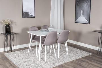 Polar Matgrupp 120 cm Rektangulär med 4 Polar stolar - Grå - Products - Möbler - Bord & matgrupp - Matgrupp