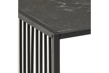 Saklani Soffbord 120x60 cm - Svart - Products - Möbler - Bord & matgrupp - Soffbord