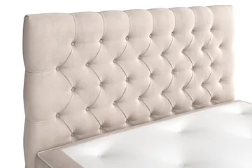 Celine Kontinentalsäng 120x200cm - Beige/Sammet - Products - Möbler - Säng - Kontinentalsäng