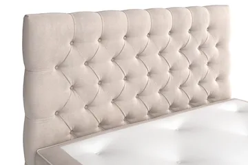 Celine Kontinentalsäng 140x200cm - Beige/Sammet - Products - Möbler - Säng - Kontinentalsäng