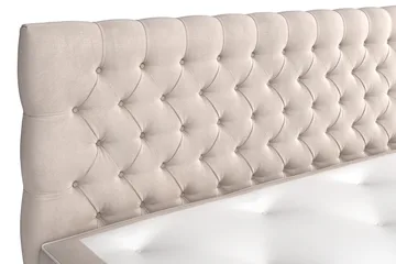 Celine Kontinentalsäng 160x200cm - Beige/Sammet - Products - Möbler - Säng - Kontinentalsäng