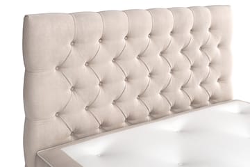 Celine Sängpaket 140x200cm - Beige/Sammet - Products - Möbler - Säng - Kontinentalsäng