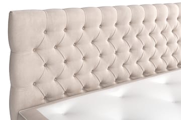 Celine Sängpaket 160x200cm - Beige/Sammet - Products - Möbler - Säng - Kontinentalsäng