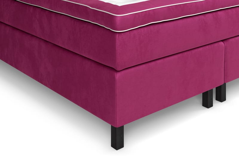 Celine Sängpaket 160x200cm - Rosa/Sammet - Products - Möbler - Säng - Kontinentalsäng