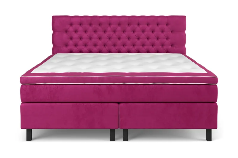 Celine Sängpaket 210x210cm - Rosa / Sammet - Products - Möbler - Säng - Kontinentalsäng