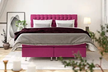 Celine Sängpaket 210x210cm - Rosa/Sammet - Products - Möbler - Säng - Kontinentalsäng