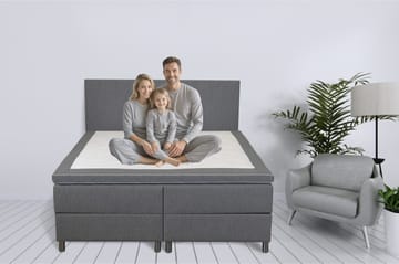 Säng 160x200 cm med förvaring grå - ljusgrå - Products - Möbler - Säng - Säng med förvaring