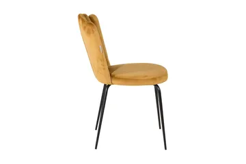 Limhamn Stol Sammet - Gul - Products - Möbler - Fåtölj & stolar - Matstol & köksstol