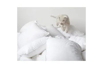 Kudde Hotellkudde - 65 x 90 cm - Products - Textil & mattor - Sängkläder - Sovkudde - Hotellkudde & avlång kudde