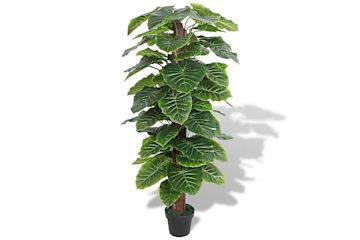 Konstväxt & plastblommor