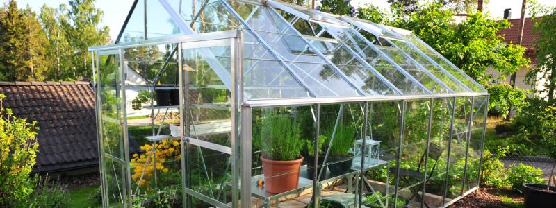 Växthus billigt online