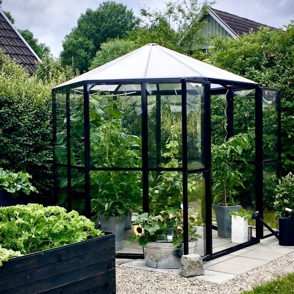 Växthus Merkurius - 3,7 m² +